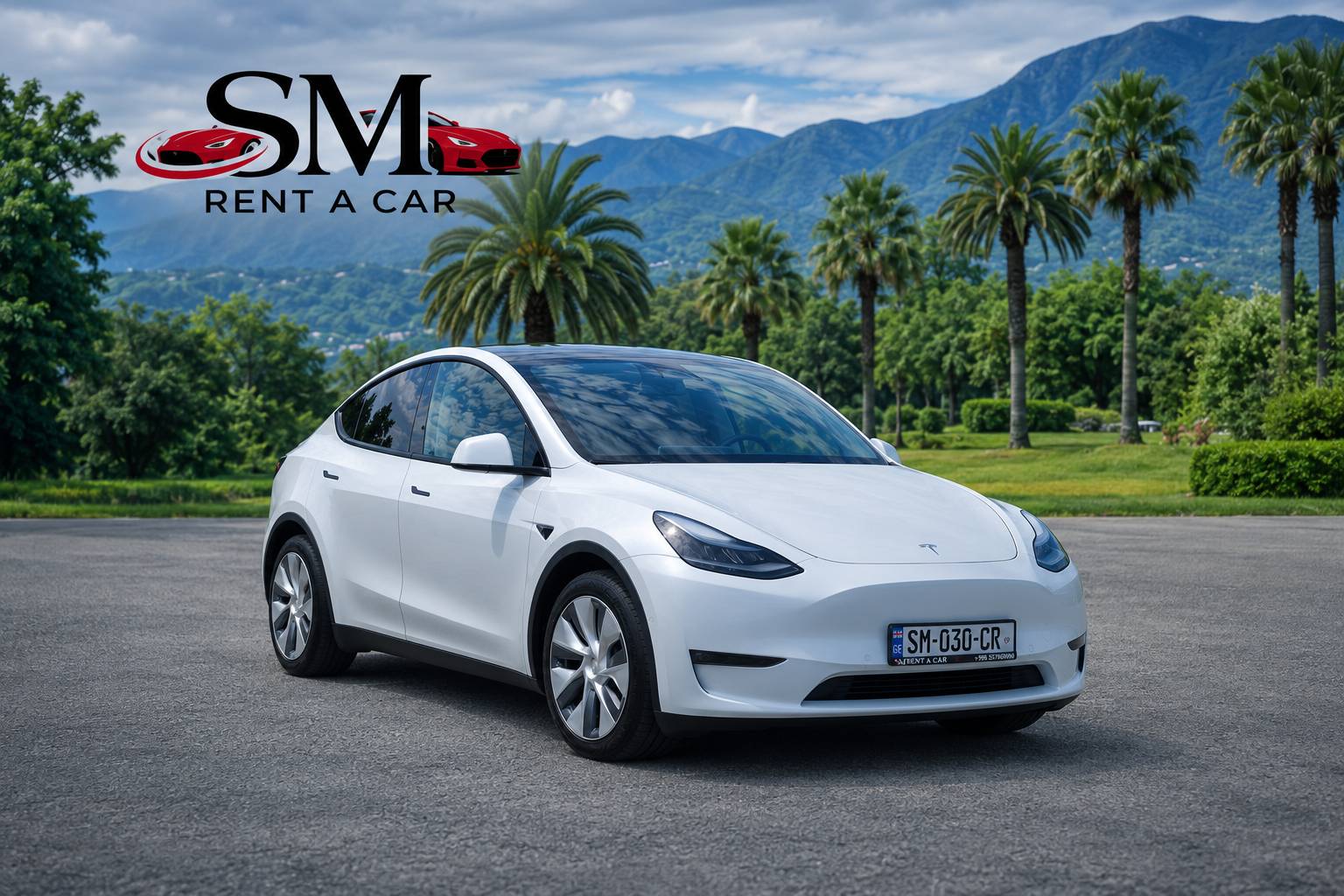 TESLA MODEL Y